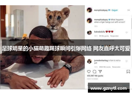 足球明星的小猫萌趣踢球瞬间引爆网络 网友直呼太可爱